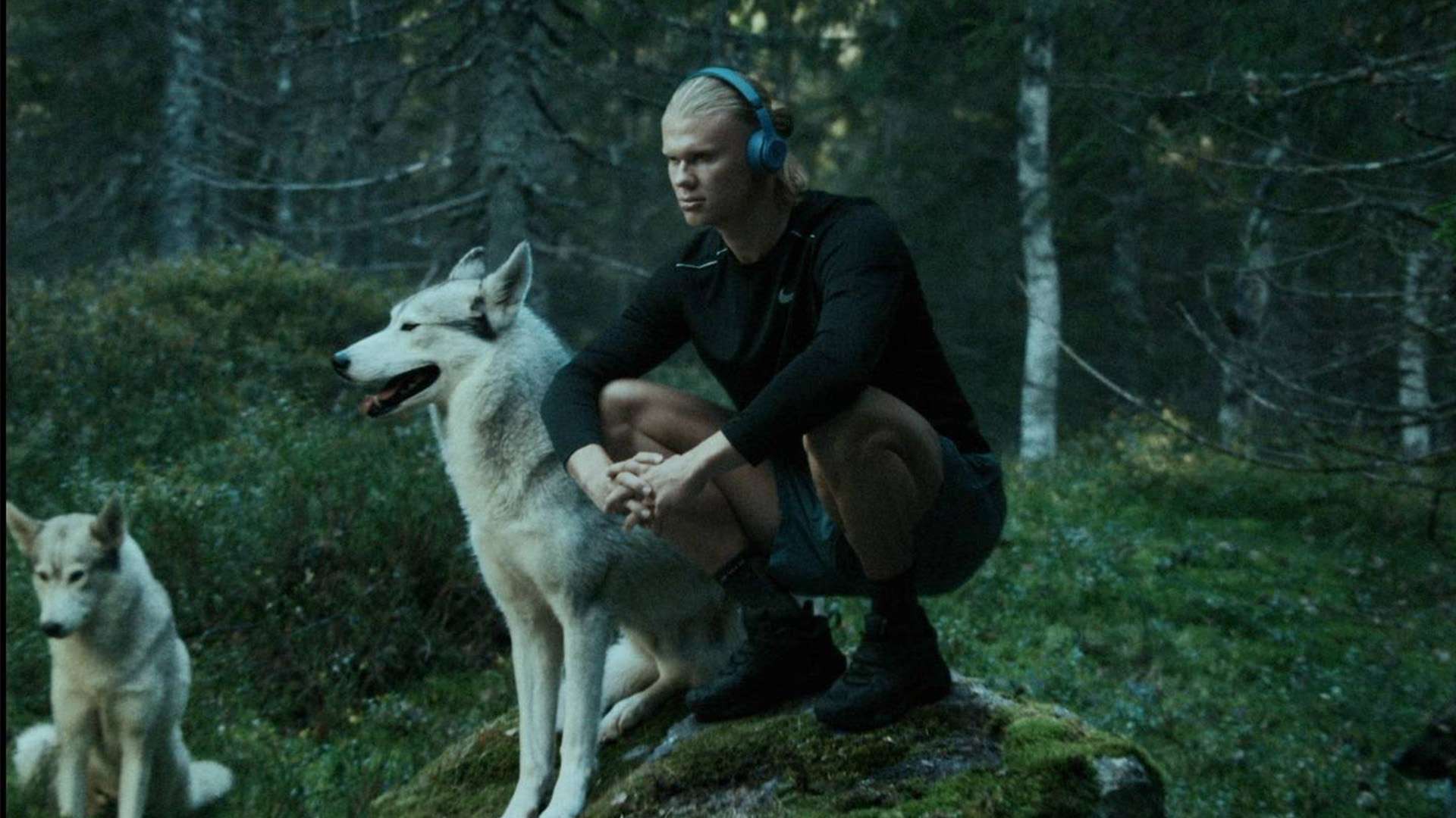 到多种因素 到多种因素