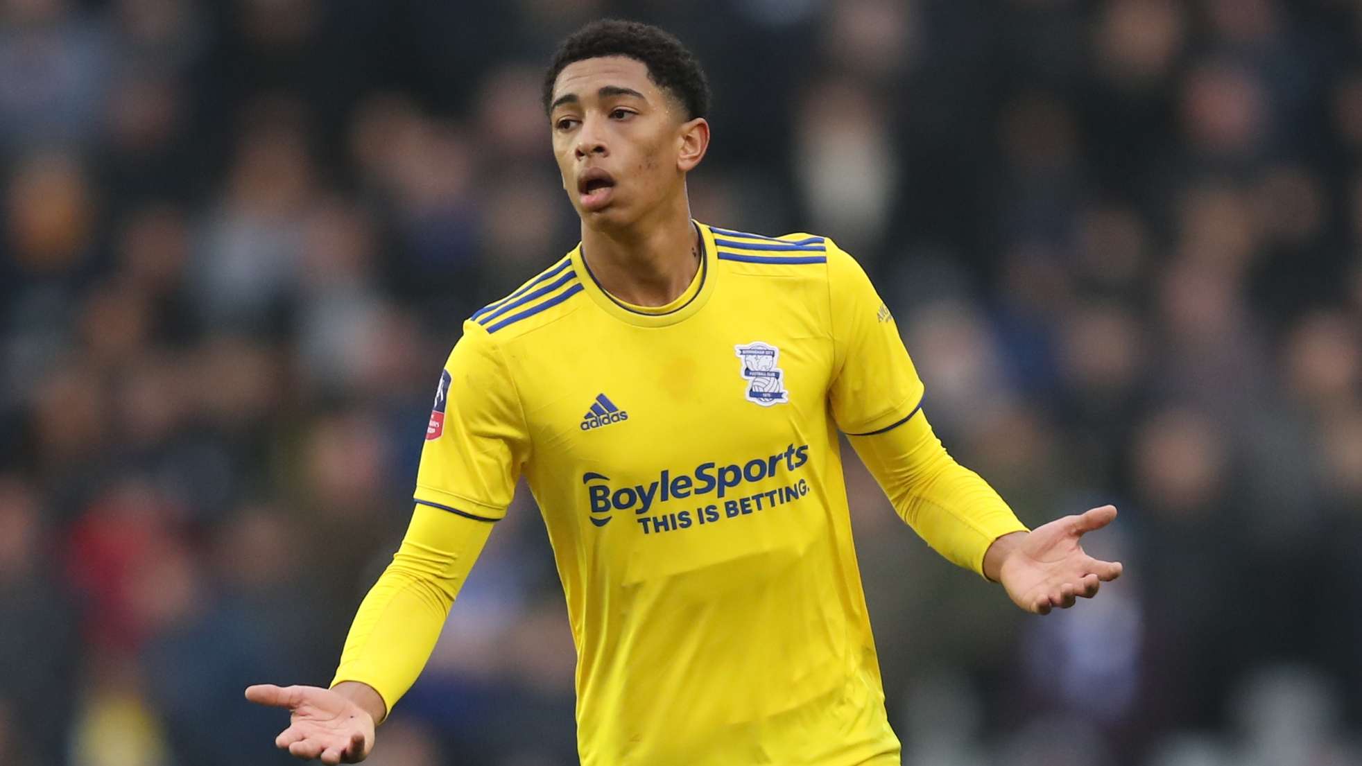 们也纷纷激 们也纷纷激